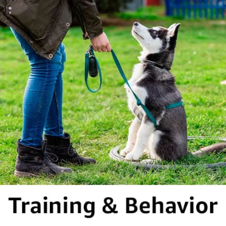 training and behavior