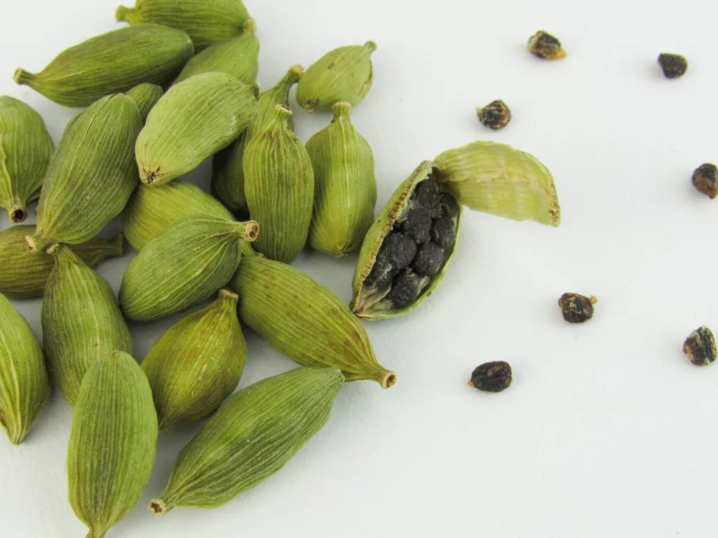 cardamom 1