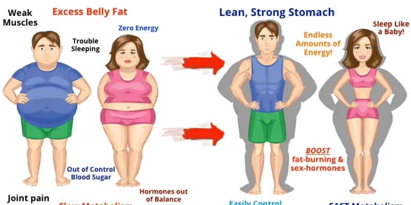 Wait! Look at The 6 Best Weight Loss Products